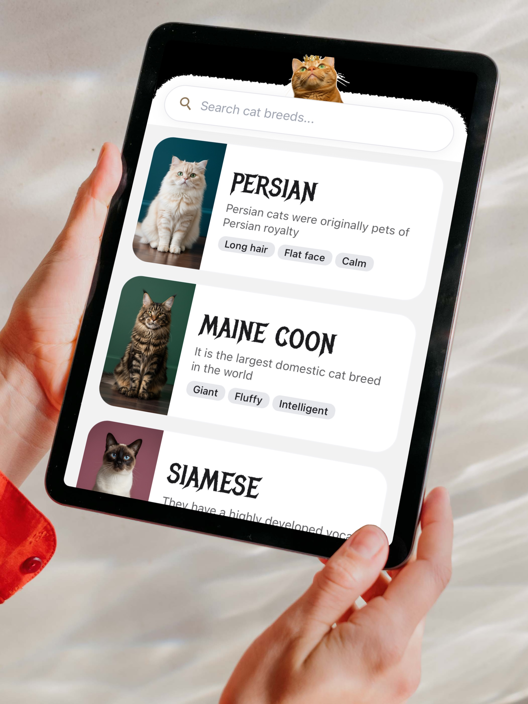 Cat Library screenshot 4