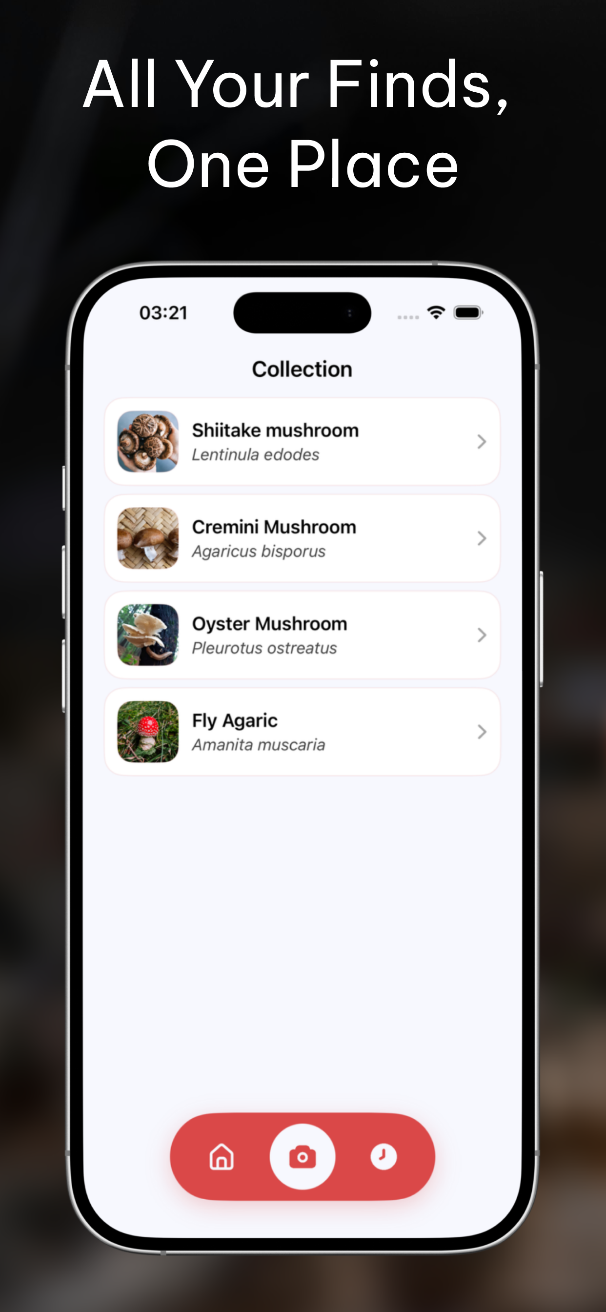 Mushroom Identifier: Scan & ID screenshot 6