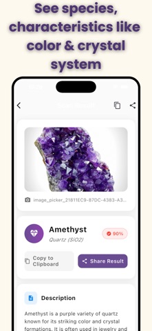 Crystal Identifier: AI Scan screenshot