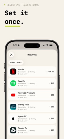 AI Expense Tracker: Spent Screenshot 10 of 10