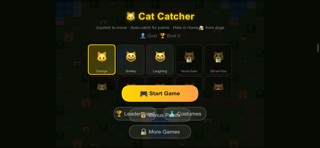Cat Catcher Quest screenshot 1