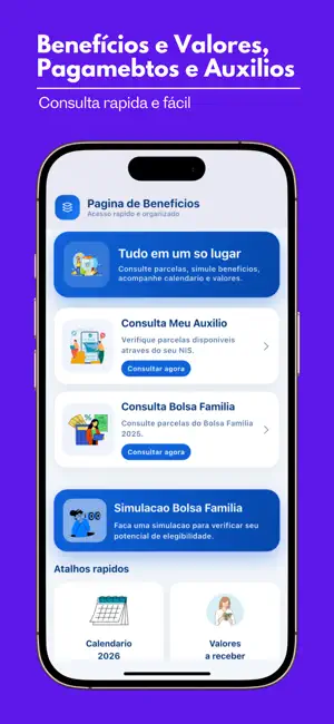 Consulta Auxílio Brasil 2026 screenshot 2
