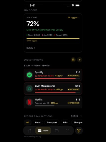 NALO: AI Money & Budget Track iPad screenshot