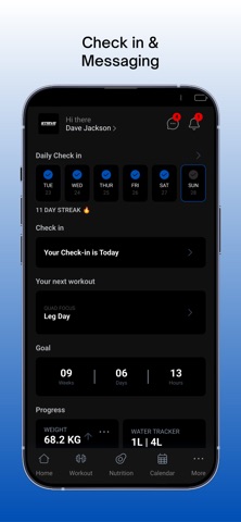 Strive Performance screenshot
