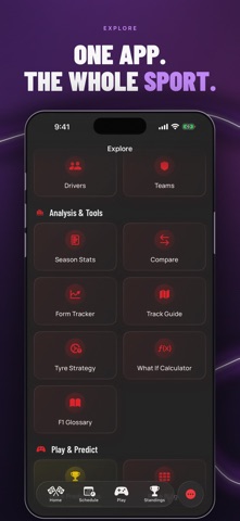 Purple Sector: F1 Widgets Screenshot 9 of 9