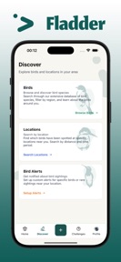Fladder – Birding & Bird ID screenshot