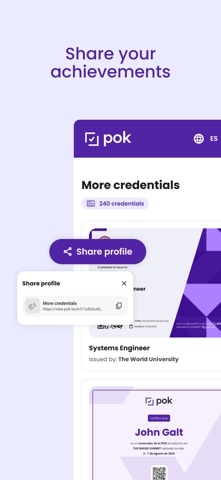 Proof of knowledge (POK) screenshot