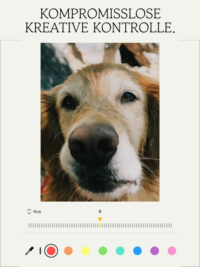 Snapseed: Fotoeditor Screenshot