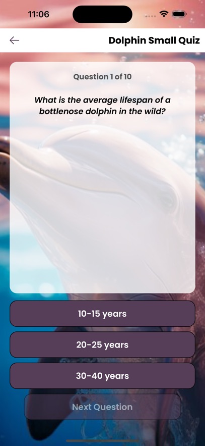 DolphinOceanSolve 
                        2024年10月23日22点已下架
