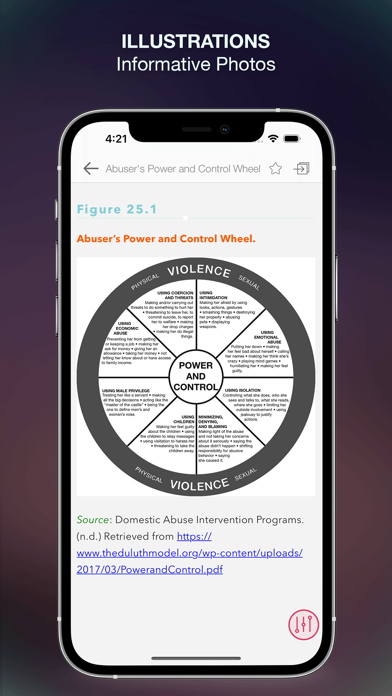 Adult Gerontology Guidelines Screenshot