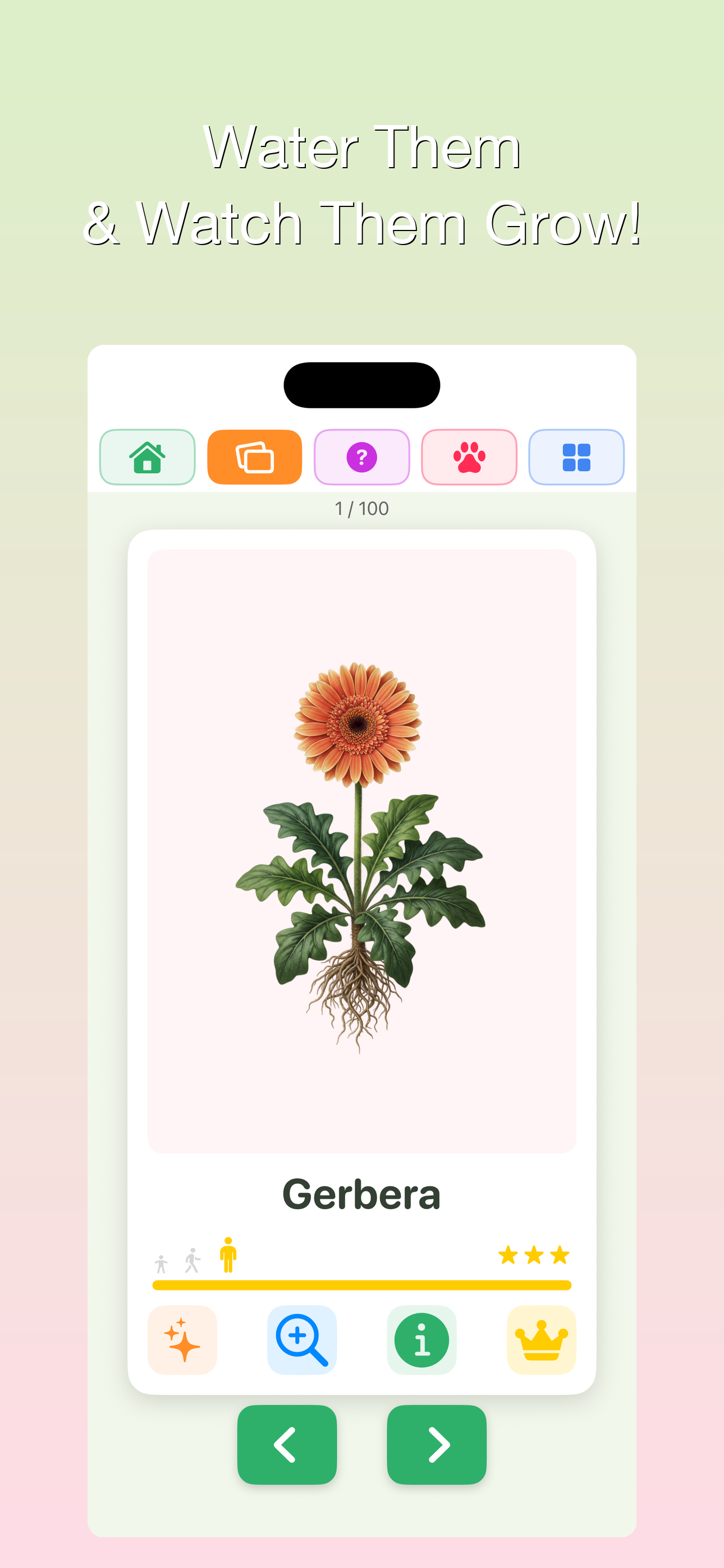 100 Plants - Grow & Learn
