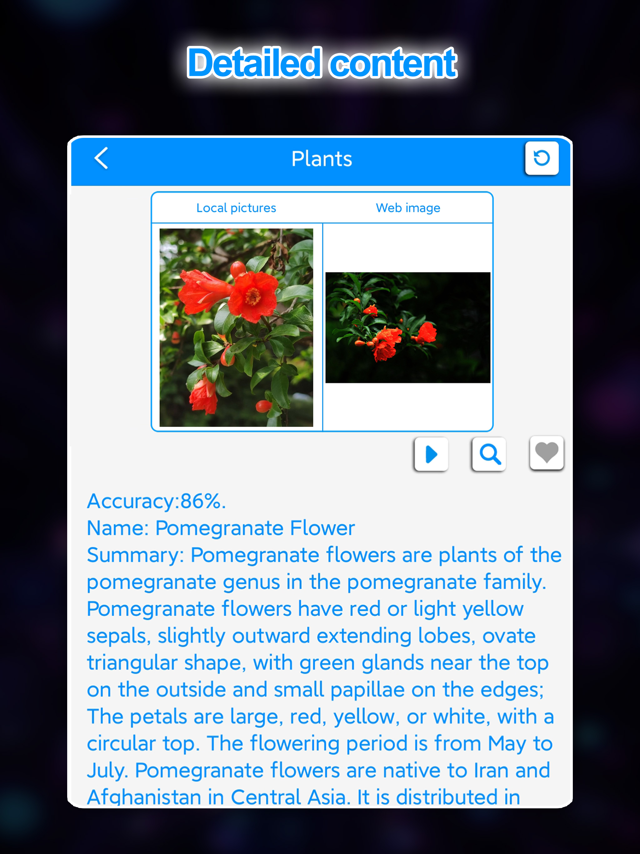 Universal recognition - Ai screenshot 8