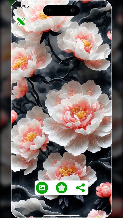 Wallpaper Show: Asthetic theme Screenshot