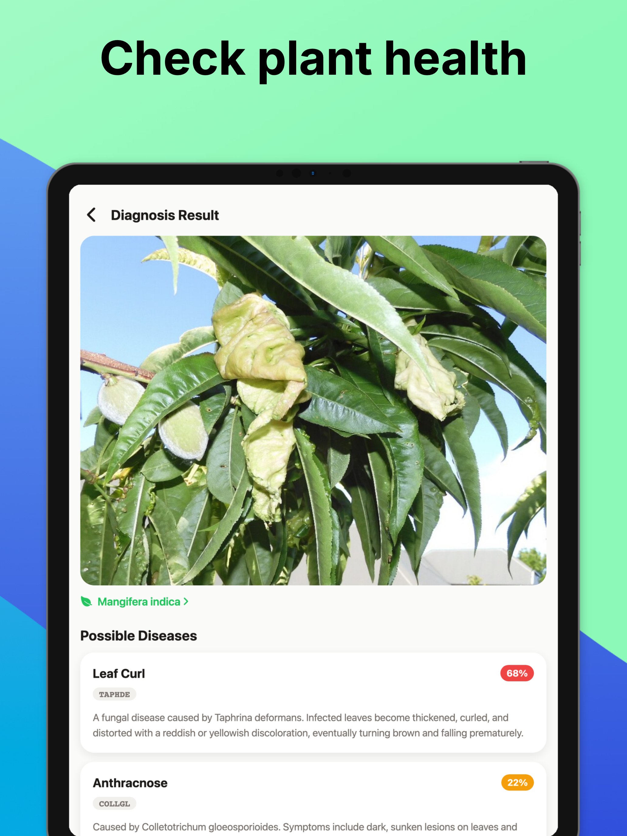 Tree Identifier・Plant ID screenshot 9
