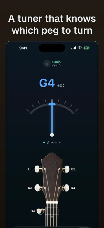 Banjo: Tuner, Chords, Learn screenshot 1 of 6