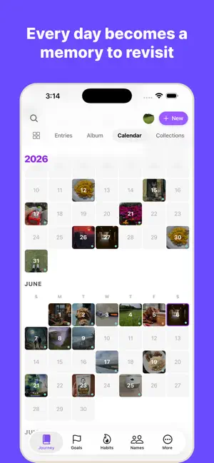 WispDay: Private Daily Diary screenshot 3