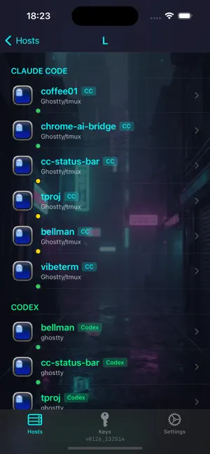 VibeTerm iPhone screenshot 2