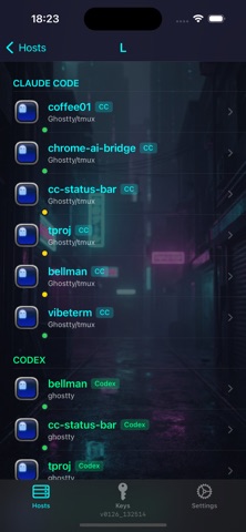 VibeTerm Screenshot 2 of 8