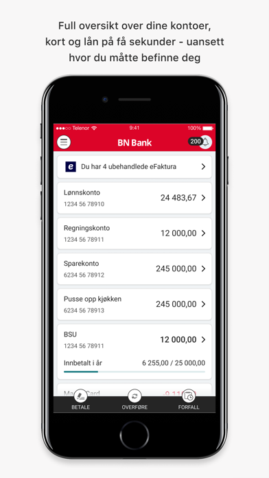 BN Bank Screenshot