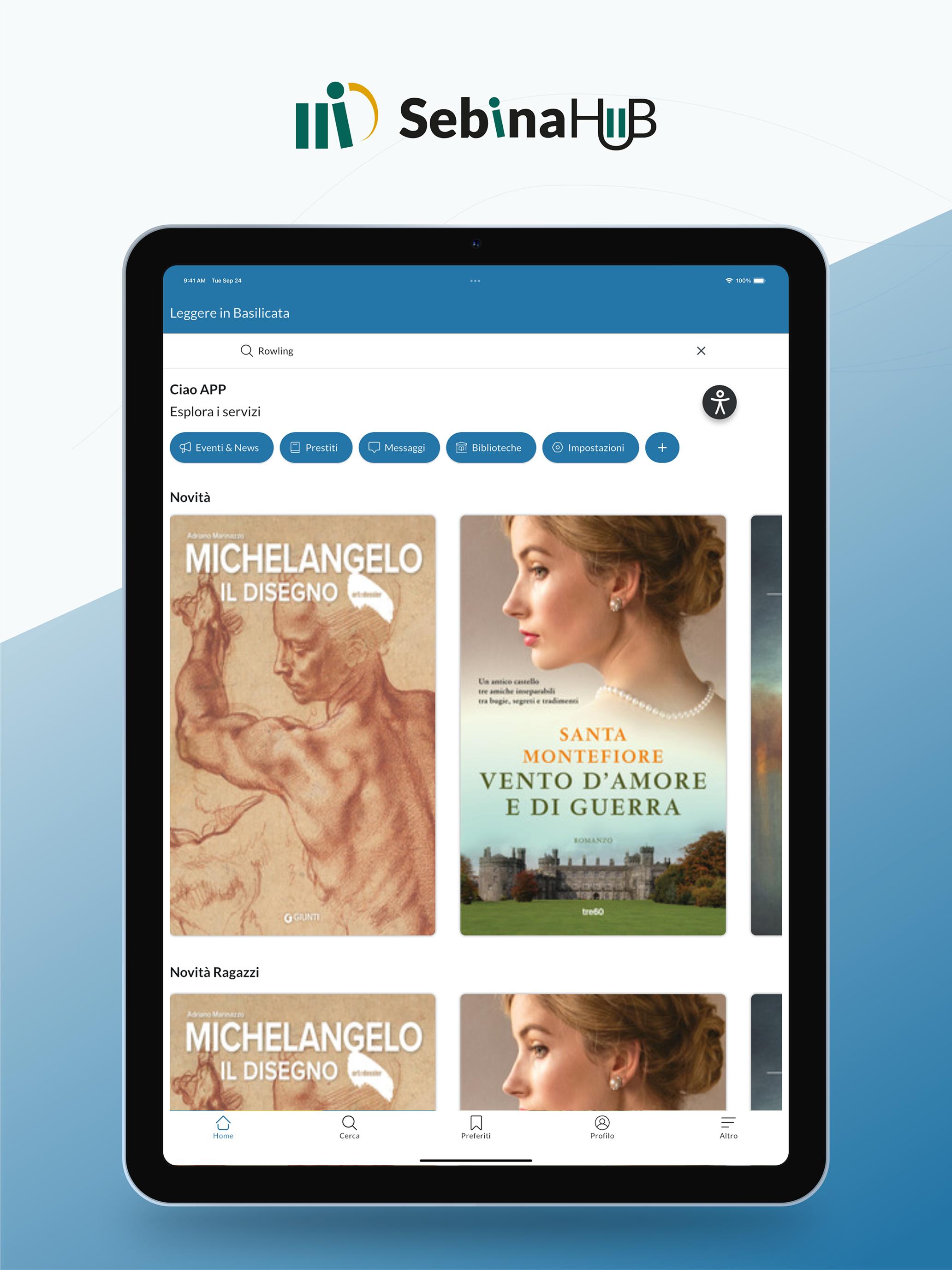 SebinaHUB screenshot 8