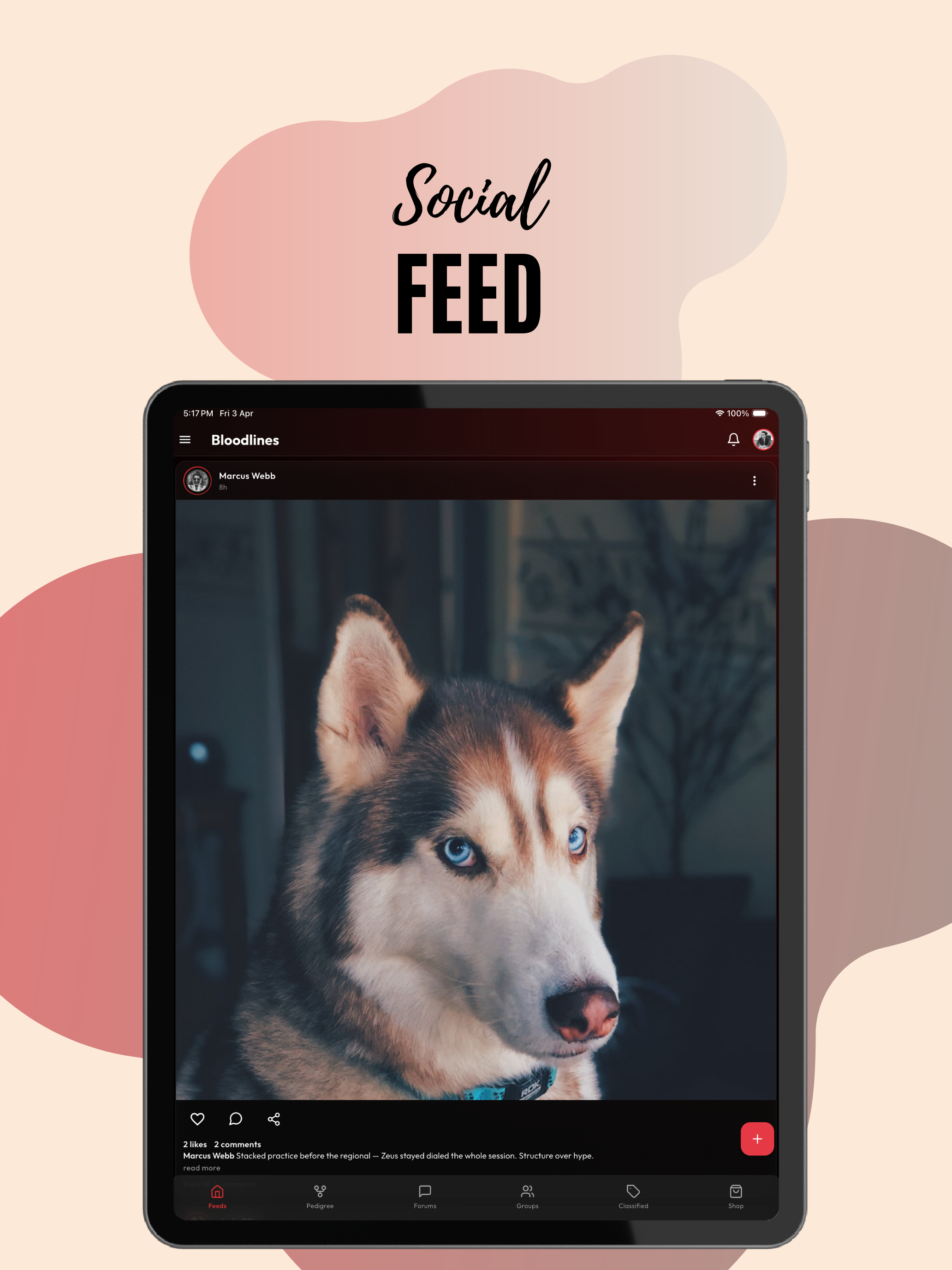 Bloodlines: Social for dogs