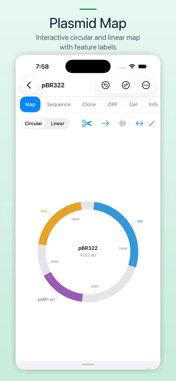 Screenshot #1 pour Capgene