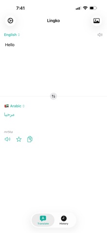 Lingko screenshot