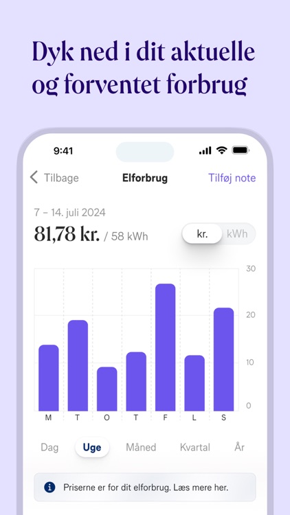 Norlys – forbrug og elpriser