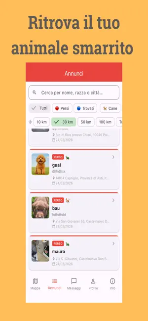 Lost Pet screenshot 1