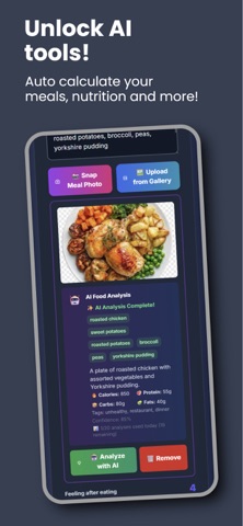 AI Journal Solutions screenshot
