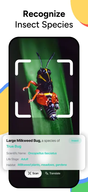 Lens AI & Reverse Image Search screenshot 5 of 7