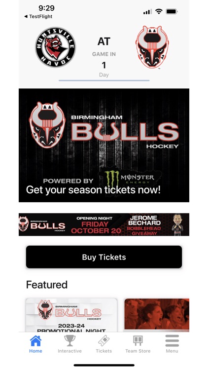 Birmingham Bulls