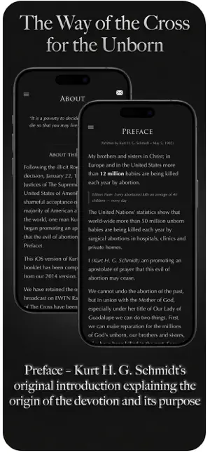Stations For The Unborn screenshot 4