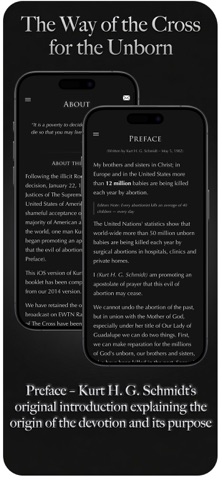 Stations For The Unborn Screenshot 4 of 10