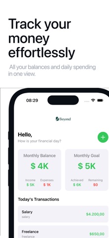 Beyond Organize Finance screenshot