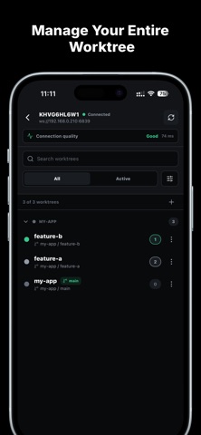 Braid Code Screenshot 3 of 4