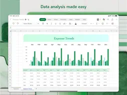 Microsoft Excel screenshot 9