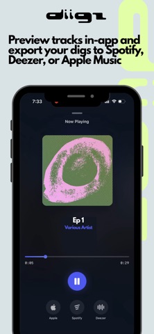 Diigz screenshot