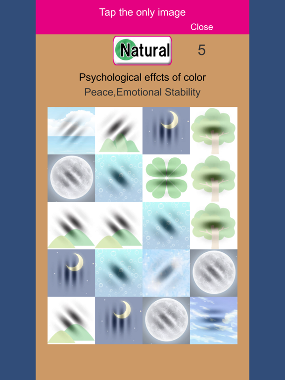 GaborPatchGame iPad screenshot 7 - Health & Fitness app