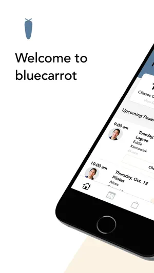 bluecarrot screenshot 1