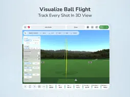 FS Golf screenshot 11