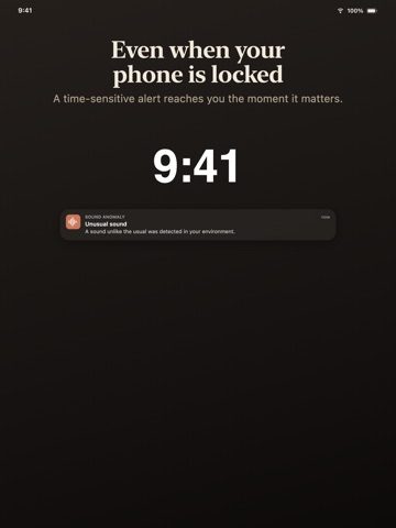 Sound Anomaly: Noise Monitor iPad screenshot