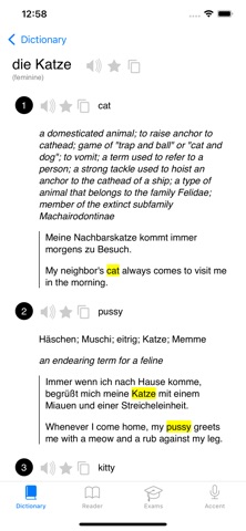 German Pro: dictionary & exams App Store preview screenshot 2