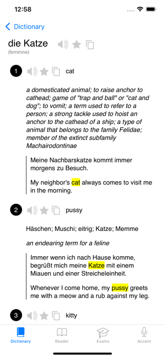 German Pro: dictionary & exams Screenshot 2 of 7