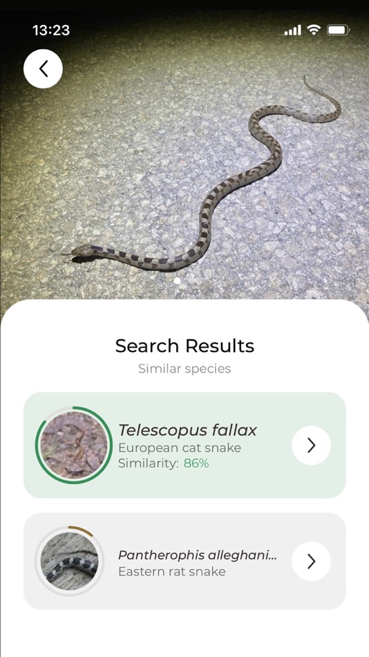 #2. Snake name - identify snakes (iOS) 게시자: FlowerChecker s.r.o.