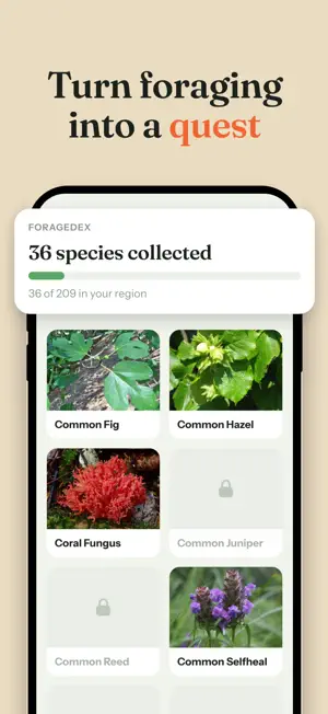 Forage: Wild Food Finder screenshot 4