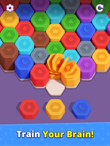 Hexa Journey: Sort Puzzle iPad screenshot
