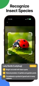 Identify Anything & Lens Scan screenshot
