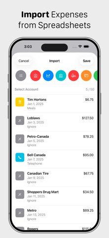 Ledger - Accounting screenshot