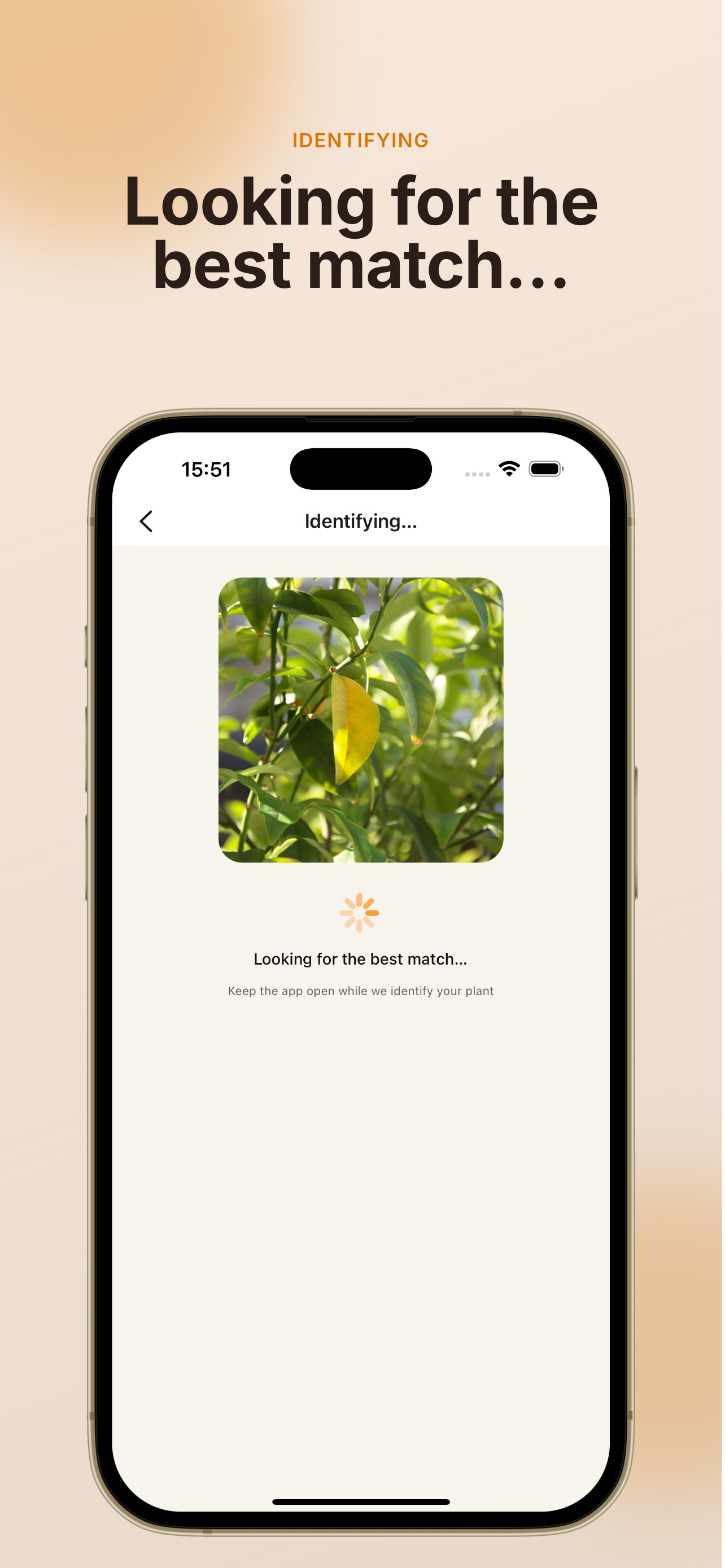 FindPlantPot screenshot 3